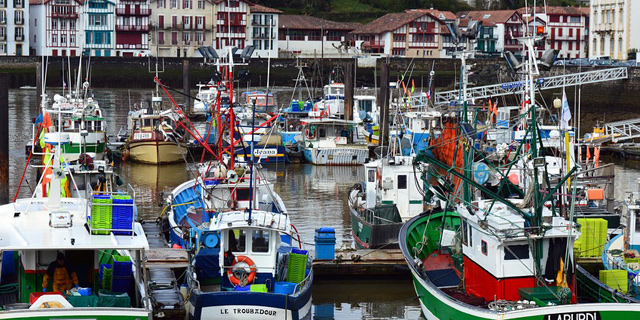 Barcos vascos y cántabros logran un sello sostenible por la pesca de sardina