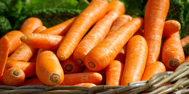 La zanahoria, importante en nuestra dieta