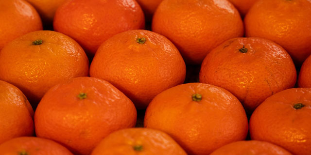¿Mandarina o clementina?