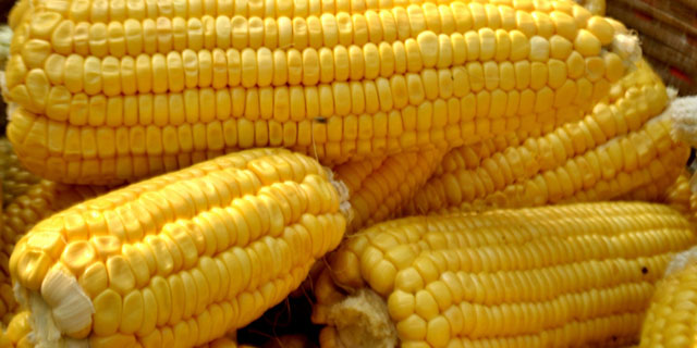 El maíz, un cereal muy nutritivo