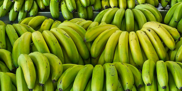 ¿Cuáles son las diferencias entre el plátano y la banana?
