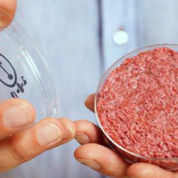 Carne sintética en 2025: ¿la salvación del planeta?