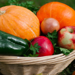 ¿Hay que cambiar nuestra alimentación con la llegada del otoño?