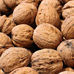 Las nueces pueden ser buenas para la salud intestinal y cardíaca