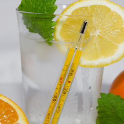 Los mejores alimentos para estimular tu sistema inmunológico