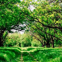 Pacto Verde Europeo: Estrategia "Del Campo a la Mesa"