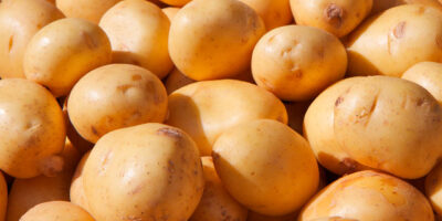 patatas-nuevas