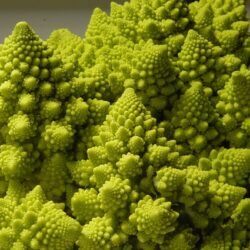 Romanesco, una verdura con excelentes propiedades que no te puedes perder