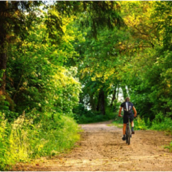 Tiempo de bicicleta: claves nutricionales
