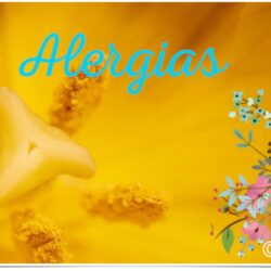 Alimentos que ayudan contra la alergia primaveral